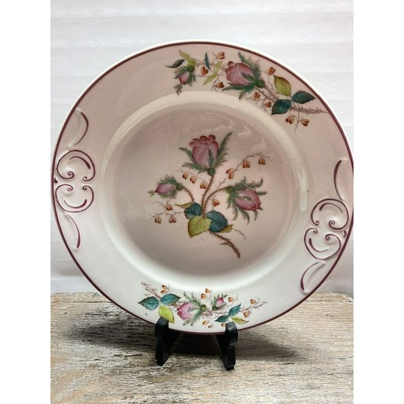Moss Rose Ironstone 1890 - 1920 DINNER PLATE Beautiful Cottagecore Piece - Picture 9 of 12